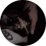 Darkmyr 13