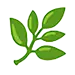 epa certified icon 75px