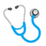 pre purchase inspection icon